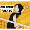 GW SPIKE
PALA LO
