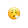 Emojis iphone 7