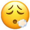 Emojis 10