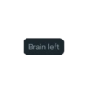 Brain left