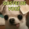 MEMES E REAÇÕES 😊😂 11