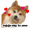 Super tiernos ❤️ 12