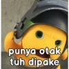 Dino Kuning Kiyowo 19