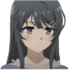 BunnyGirlSenpai 16