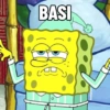 BASI Pwettykoala