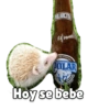 POLARCITA
EN VENEZUELA
POLAR
Hoy se bebe
TIPO PILSEN
Pagram