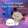 Buenas nalgas
digo, buenos días...
@Cats4mood en Instagram