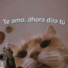 🐱🐹Animalitos Para Tu Chat📲💓 10