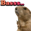 Basss..