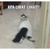 APA LIHAT-LIHAT?!
