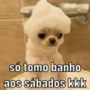 só tomo banho
aos sábados kkk