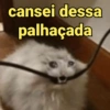 Memes variados 11