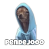 Pendejooo