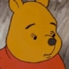 Winnie Pooh 🍯 12