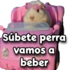 Memes Pal Chat 😎 5
