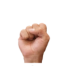 Mexican Sign Language 20