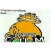 Memes and chaos 29