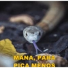 Nájila, a heroína de bsb 7