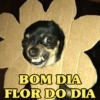 BOM DIA FLOR DO DIA