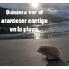 Quisiera ver el
atardecer contigo
en la playa