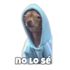 no Lo sé