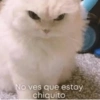 No ves que estoy
chiquito