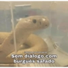 Nájila, a heroína de bsb 8
