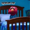 Cookie monster 14
