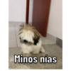 Timoteo 7