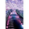 Los fondos de pantalla 7