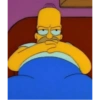 Los simpson 24