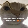 chat aku, atau aku bom rumah mu?