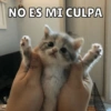Michis Para Ti pt.2🐱❤️ 19
