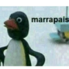 marrapais