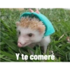 Y te comeré