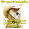Perritos con canciones Sad 26
