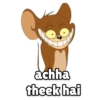 Tom and Jerry (Hindi) 5
