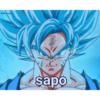 Veterie 201 Du sapo