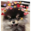 BTS memes english 26