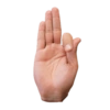 Mexican Sign Language 6