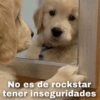 🐱🐹Animalitos Para Tu Chat📲💓 6