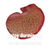 Estoy durmiendo
no me molestes