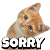CATS 15