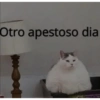 Otro apestoso dia