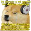 Perritos con canciones Sad 30