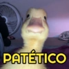 MEMES SINCEROS🤭 5