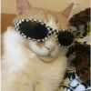 GATOS LOCOS 2 29