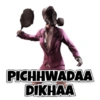PICHHWADAA
DIKHAA