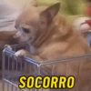 SOCORRO