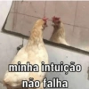 minha intuição
não falha